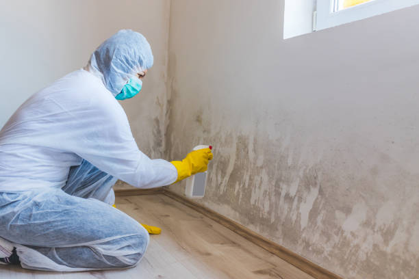 Crawl Space Mold Remediation treatment of floor joists in Duncansville